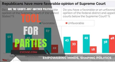 Courts and Politics: Impartial Justice or Partisan Tool?