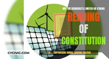 Democrats' Constitution Reading: Limited or Strong?