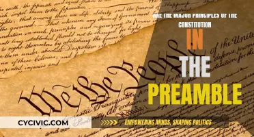 Foundations of the US Constitution: Preamble Principles