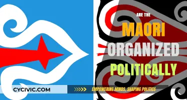 Maori Political Organization: Structure, Influence, and Contemporary Engagement