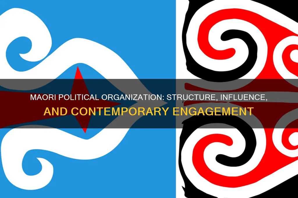are the maori organized politically