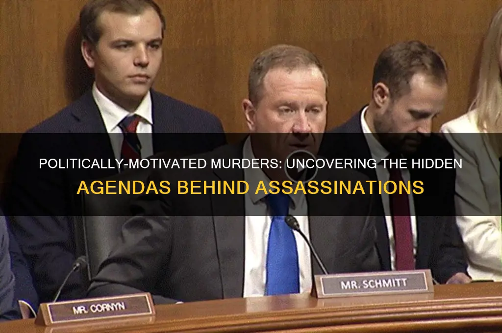 are the murders politically-motivated