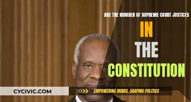 Justices: Are They Counted in the Constitution?