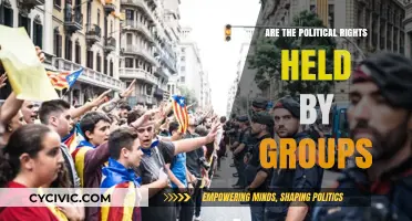 Empowering Collective Voices: The Dynamics of Group Political Rights