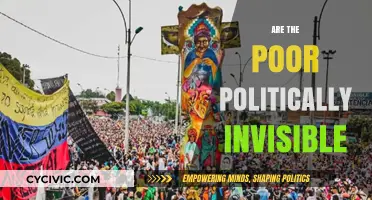 Are the Poor Politically Invisible? Exploring Marginalization and Power Dynamics