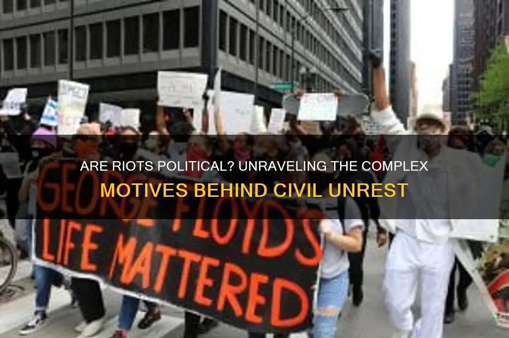 are the riots political
