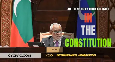 The Speaker's Role: Constitutional Duties and Powers