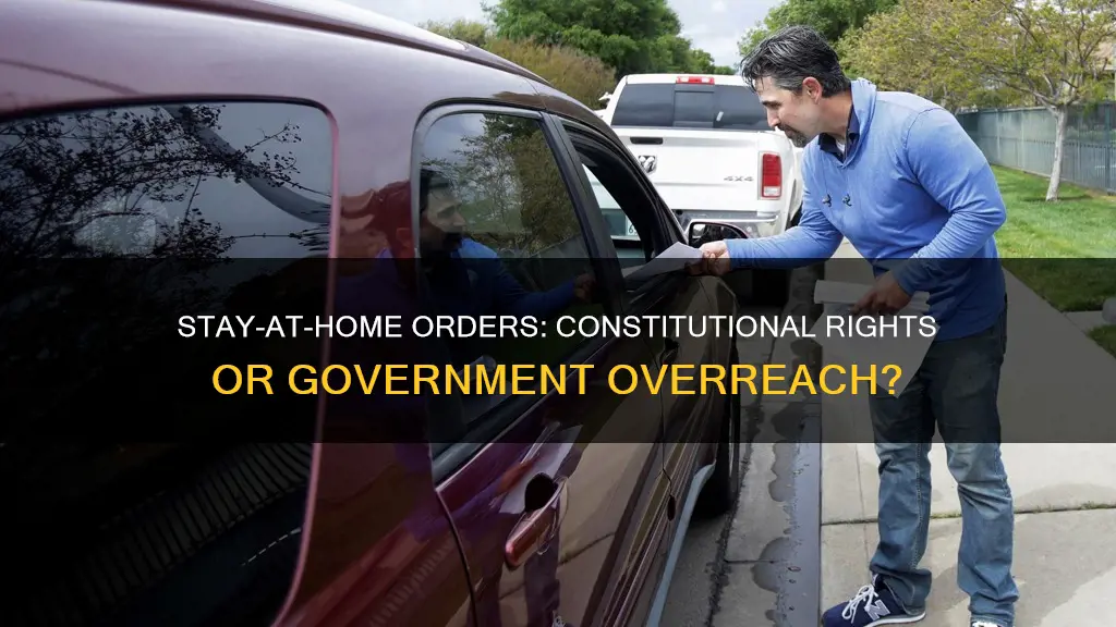 are the stay at home orders against the constitution