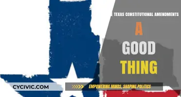 Texas Amendments: Good or Bad?