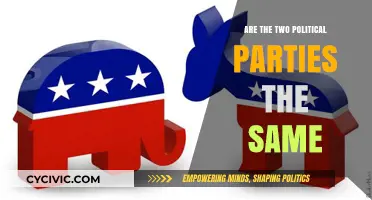 Are Democrats and Republicans Truly Different? Examining Political Party Similarities