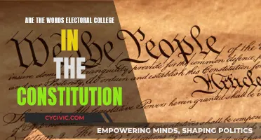 Electoral College: The Constitutional Conundrum Explored