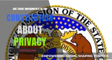 The Constitution's Privacy Amendments: What You Need to Know