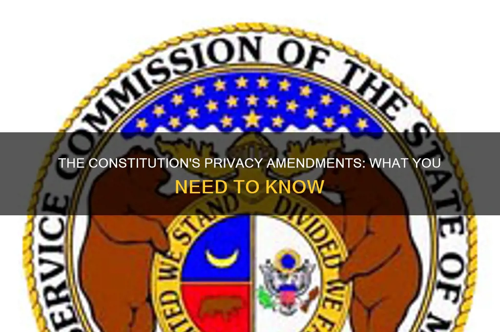 are there amendments in the constitution about privacy