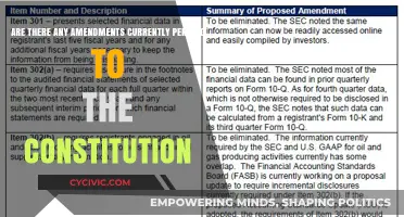 Proposed Amendments: What Could Change in the Constitution?