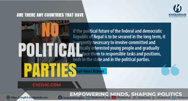 Exploring Nations Without Political Parties: A Unique Governance Model