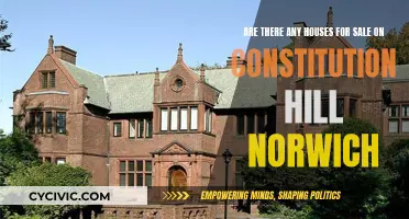 Constitution Hill, Norwich: Houses for Sale?