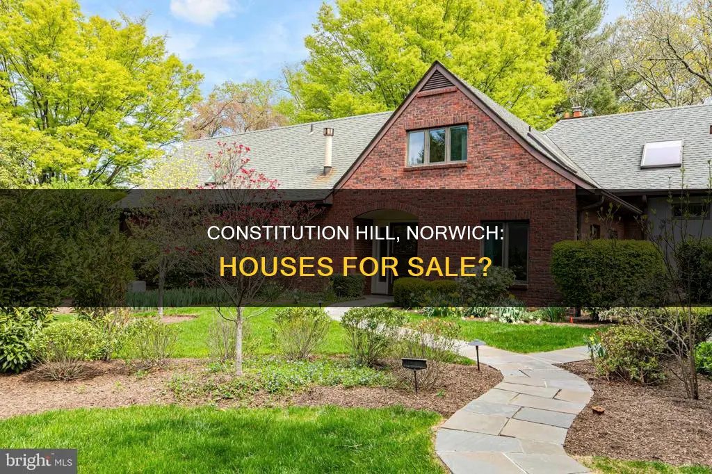 are there any houses for sale on constitution hill norwich