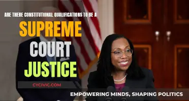Supreme Court Justices: Constitutional Qualifications Needed?