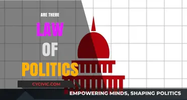 Do Political Laws Exist? Exploring the Rules Governing Politics