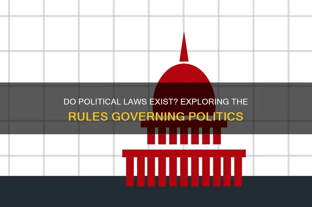 are there law of politics
