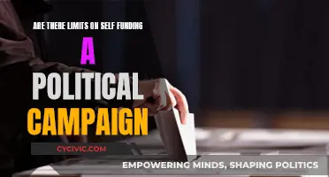 Self-Funding Political Campaigns: Limits and Legality