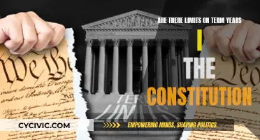 Term Limits: Constitutional Constraints on Tenure