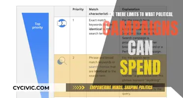 Exploring Political Campaign Spending Limits