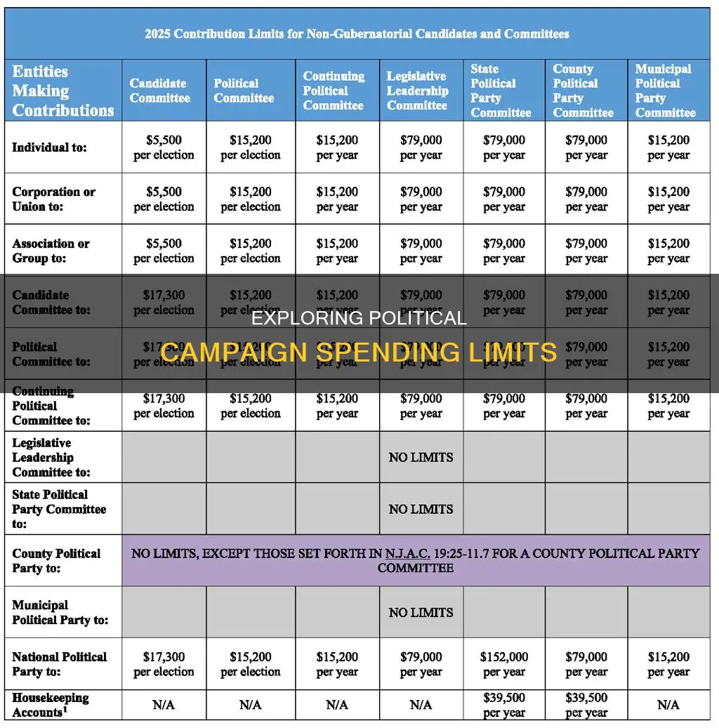 are there limits to what political campaigns can spend