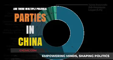 China's Political Landscape: One Party Dominance or Hidden Pluralism?
