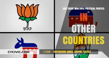 Exploring Global Democracy: Do Other Nations Have Multiple Political Parties?