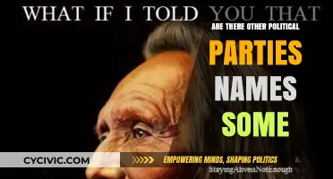 Beyond the Big Two: Exploring Lesser-Known Political Parties Worldwide