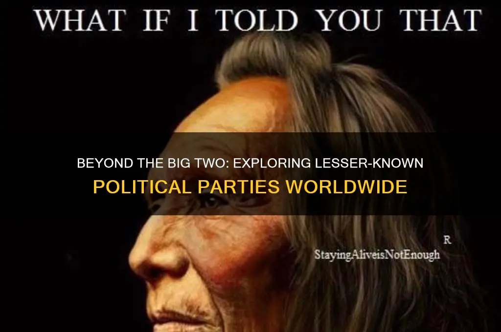 are there other political parties names some