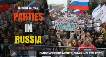 Exploring Russia's Political Landscape: Parties, Power, and Putin's Influence