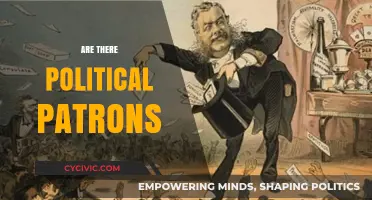 Exploring the Role of Political Patrons in Modern Governance