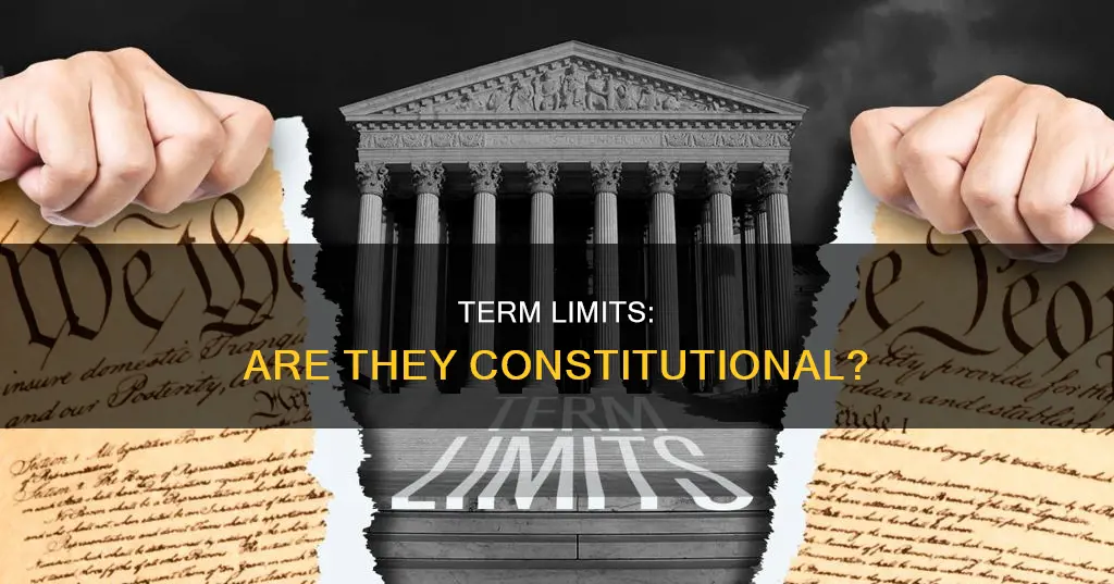 are there term limits mentioned in the constitution
