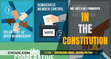 What Principles Guide the Constitution?