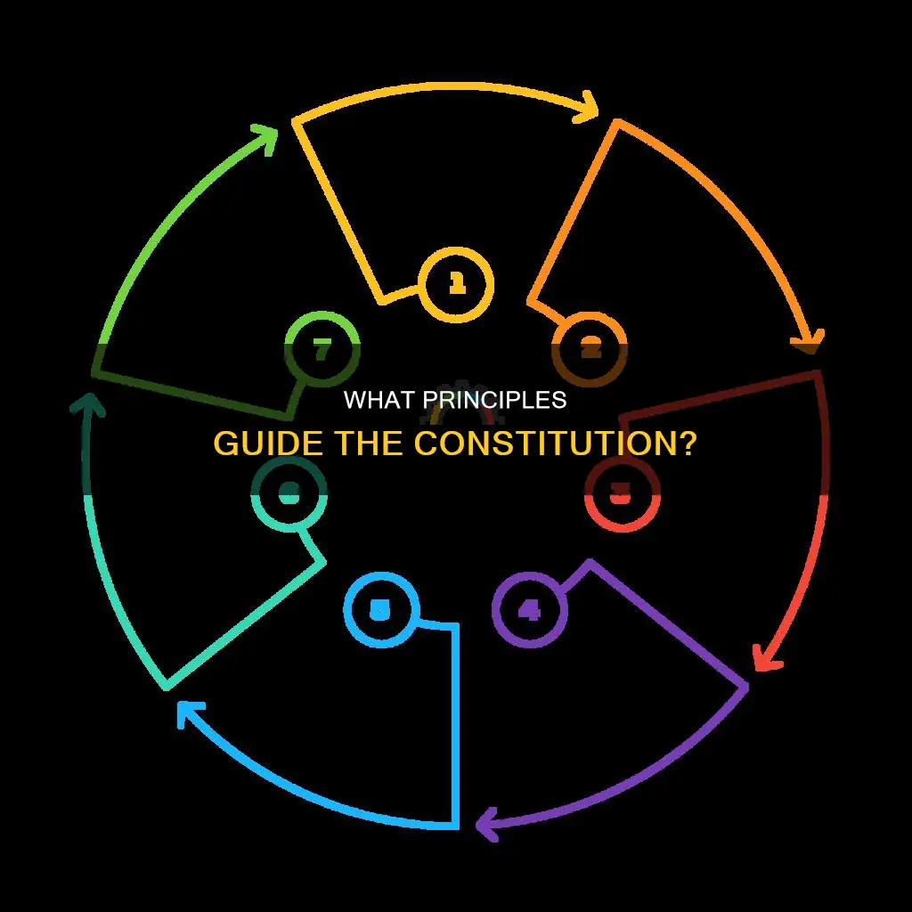 are they 6 or 7 principles in the constitution