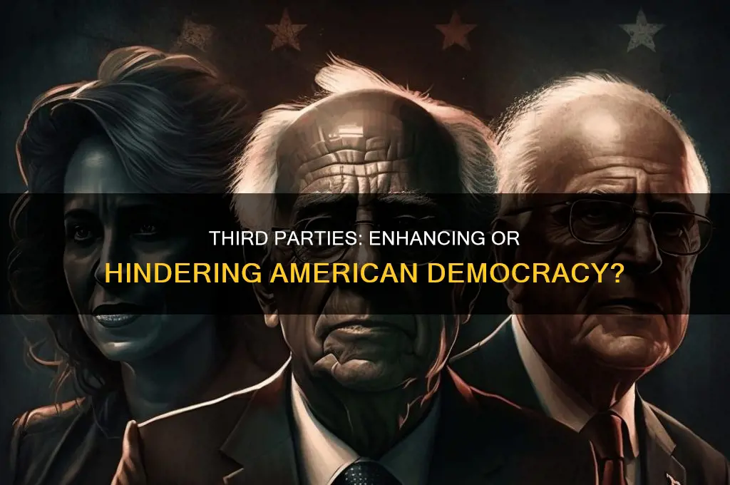 are third parties good for the american political system