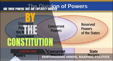The Constitution's Explicitly Granted Powers