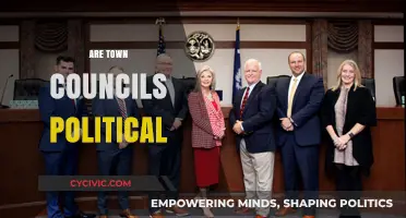 Are Town Councils Political? Exploring Local Governance and Partisanship