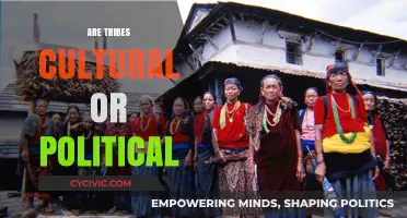Tribes: Cultural Identities or Political Entities? Exploring the Dual Nature