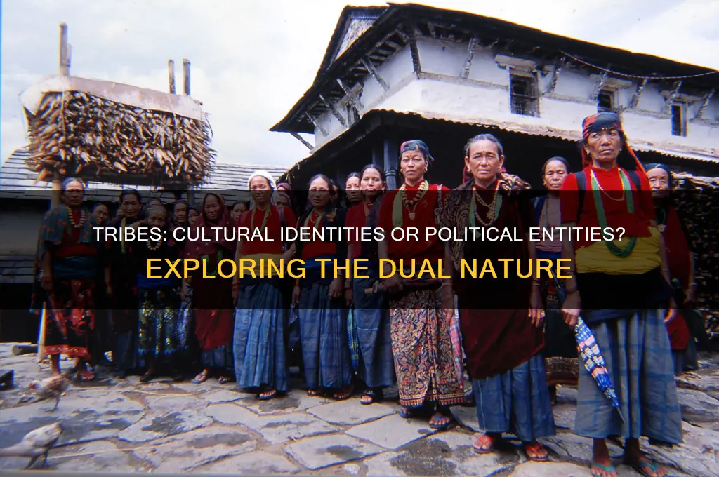 are tribes cultural or political