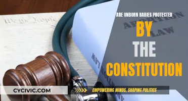 The Constitution and Unborn Babies: What Protections Exist?