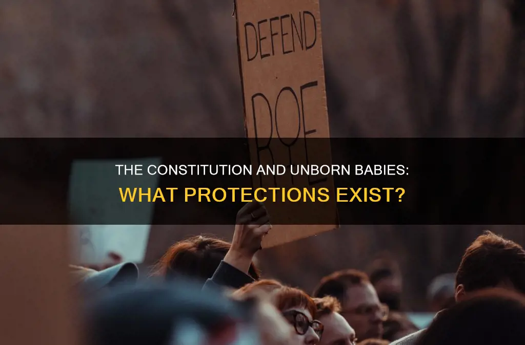are unborn babies protected by the constitution
