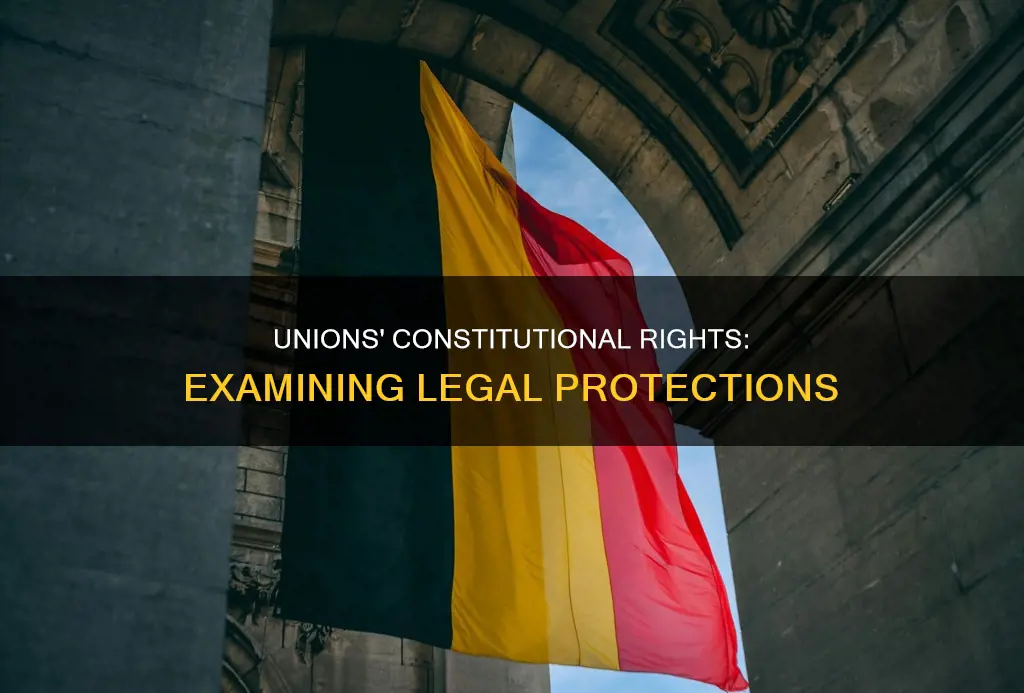 are unions protected by the constitution