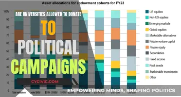 Universities, Political Donations: Legality and Ethical Boundaries