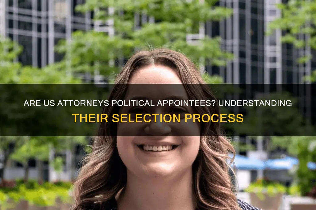 are us attorneys political appointees