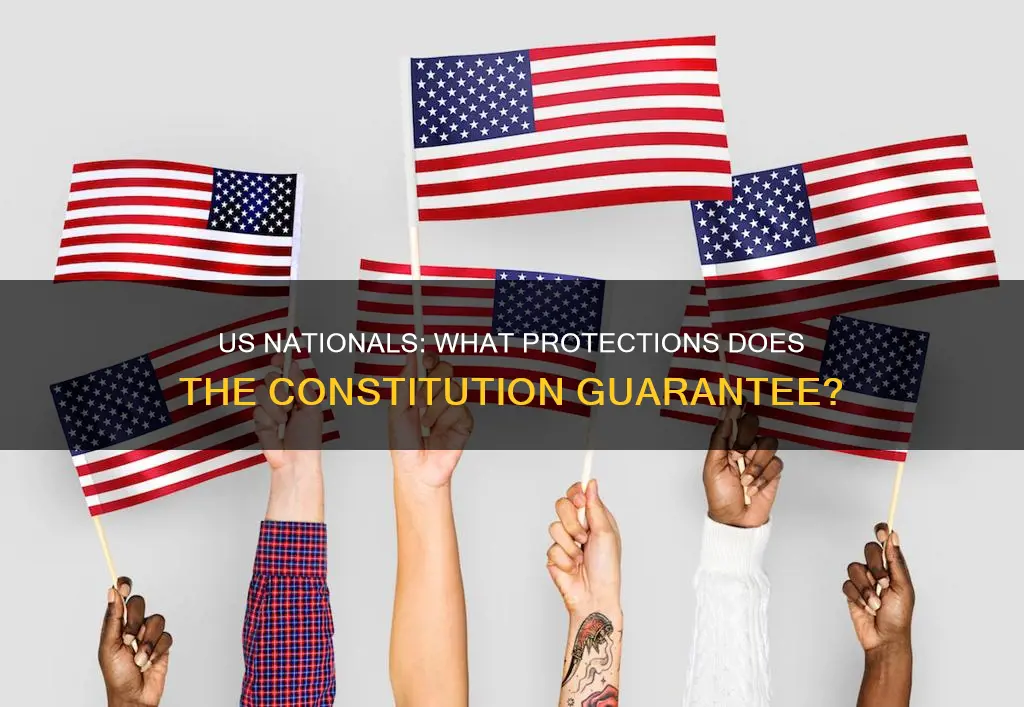 are us nationals garunteed protection under the constitution