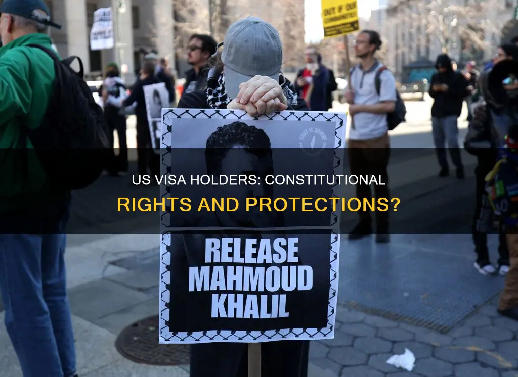 are us visa holders protected by the constitution