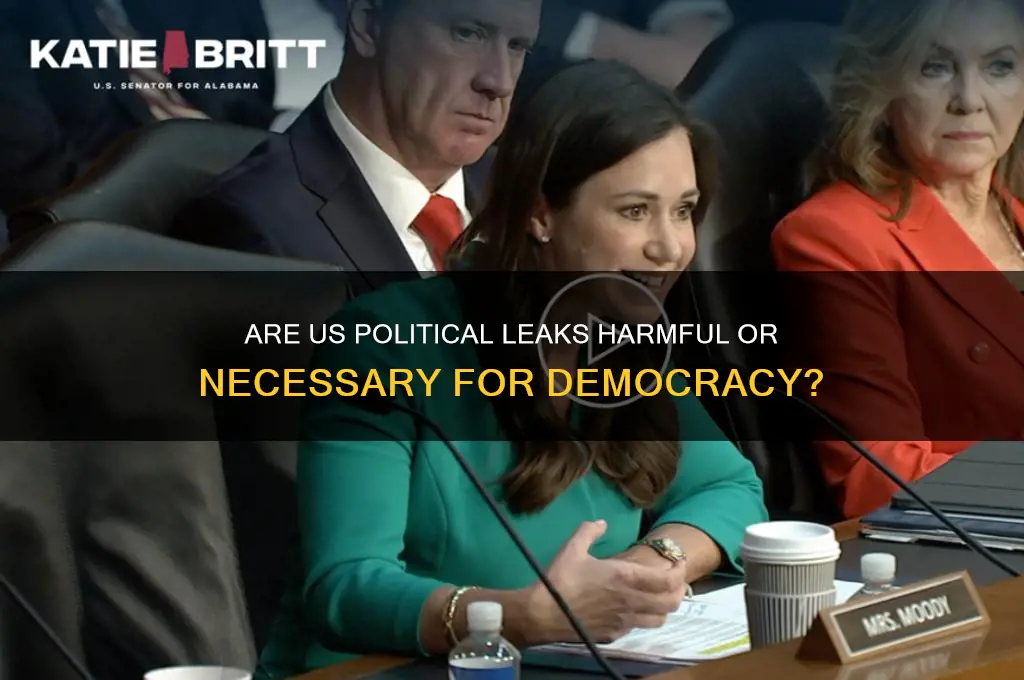 are usa politics leaks bad